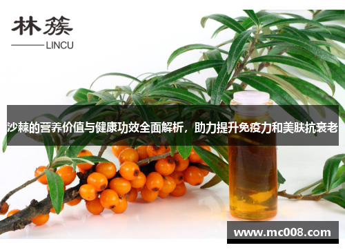 沙棘的营养价值与健康功效全面解析，助力提升免疫力和美肤抗衰老
